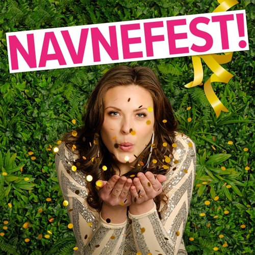 Web KV Navnefest